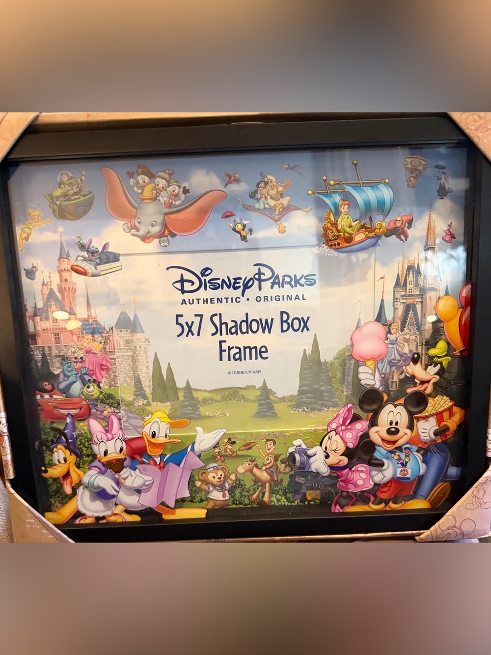 New Disney Parks Shadow Box Frame